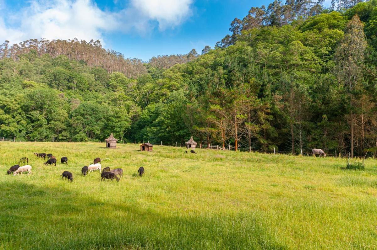 La Pousada De Boimouro Vendégház Piantes Kültér fotó